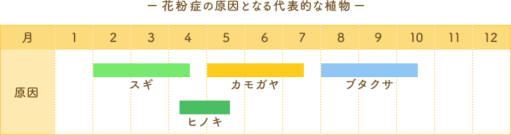 花粉症の原因となる代表的な植物