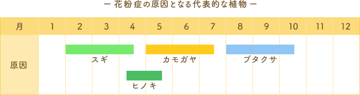 ー花粉症の原因となる代表的な植物ー
